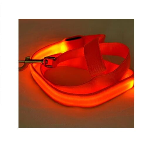 LED Light-Up Nylon Dog Leash – Adjustable Glow Modes for Night Safety and Style