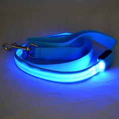 LED Light-Up Nylon Dog Leash – Adjustable Glow Modes for Night Safety and Style