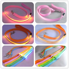 LED Light-Up Nylon Dog Leash – Adjustable Glow Modes for Night Safety and Style