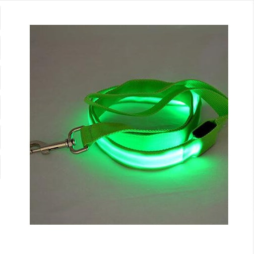 LED Light-Up Nylon Dog Leash – Adjustable Glow Modes for Night Safety and Style