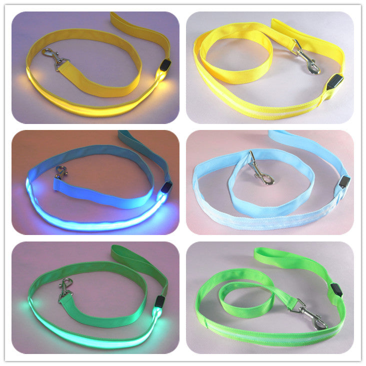 LED Light-Up Nylon Dog Leash – Adjustable Glow Modes for Night Safety and Style