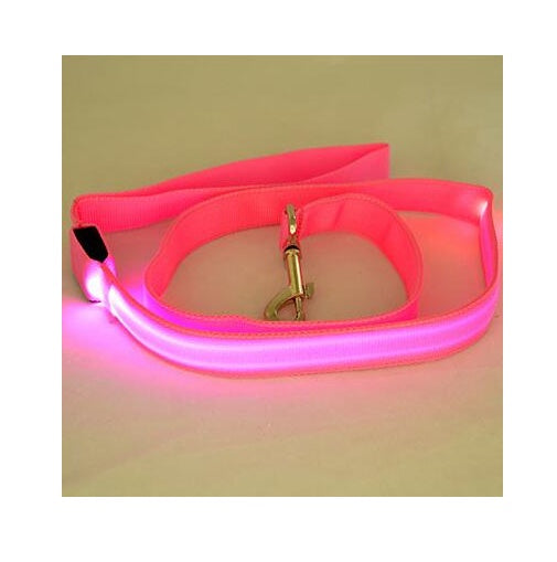 LED Light-Up Nylon Dog Leash – Adjustable Glow Modes for Night Safety and Style