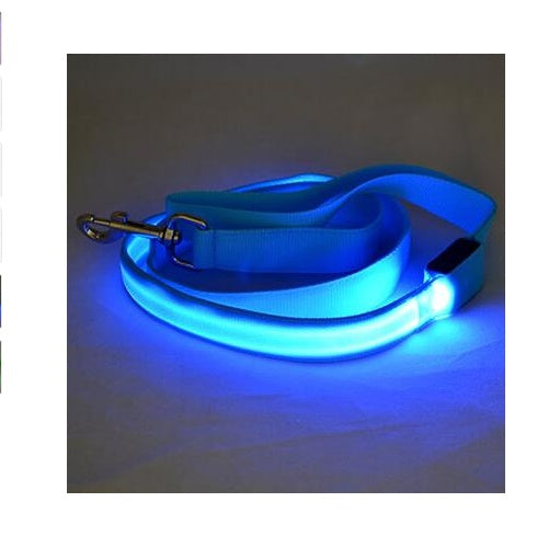 LED Light-Up Nylon Dog Leash – Adjustable Glow Modes for Night Safety and Style