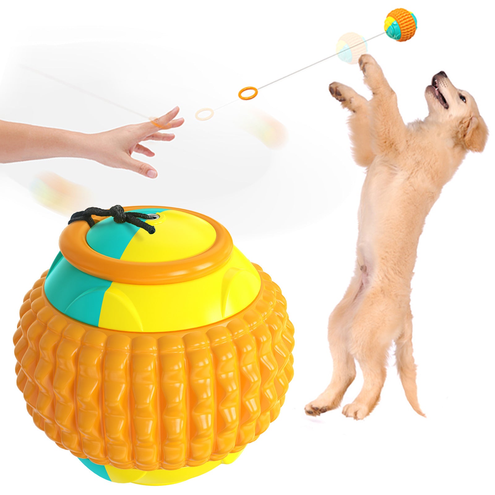 Durable Dog Training Throw Ball – Lightweight & Gnaw-Resistant Toy