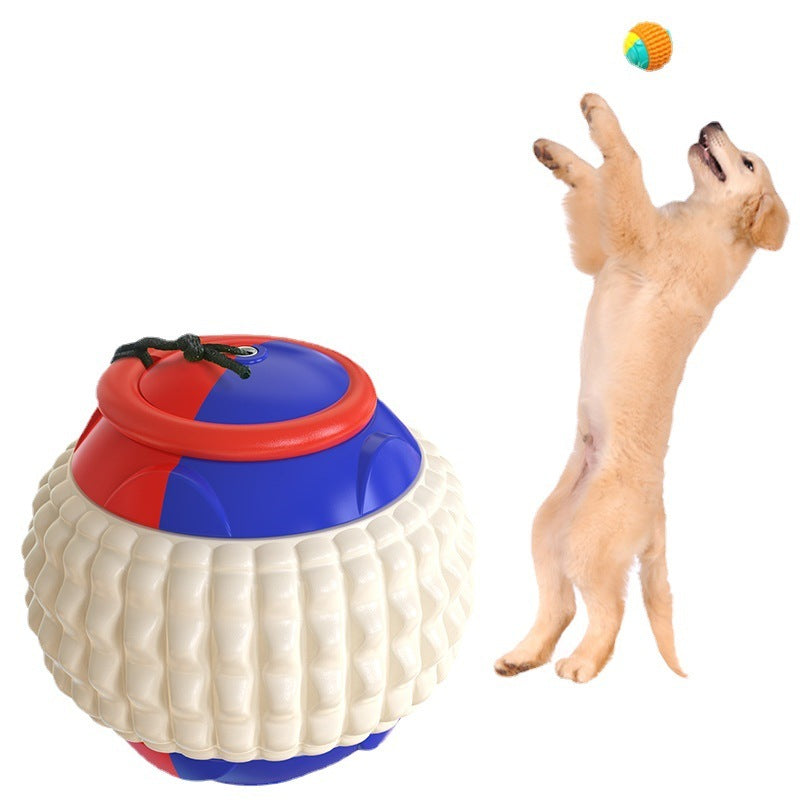 Durable Dog Training Throw Ball – Lightweight & Gnaw-Resistant Toy